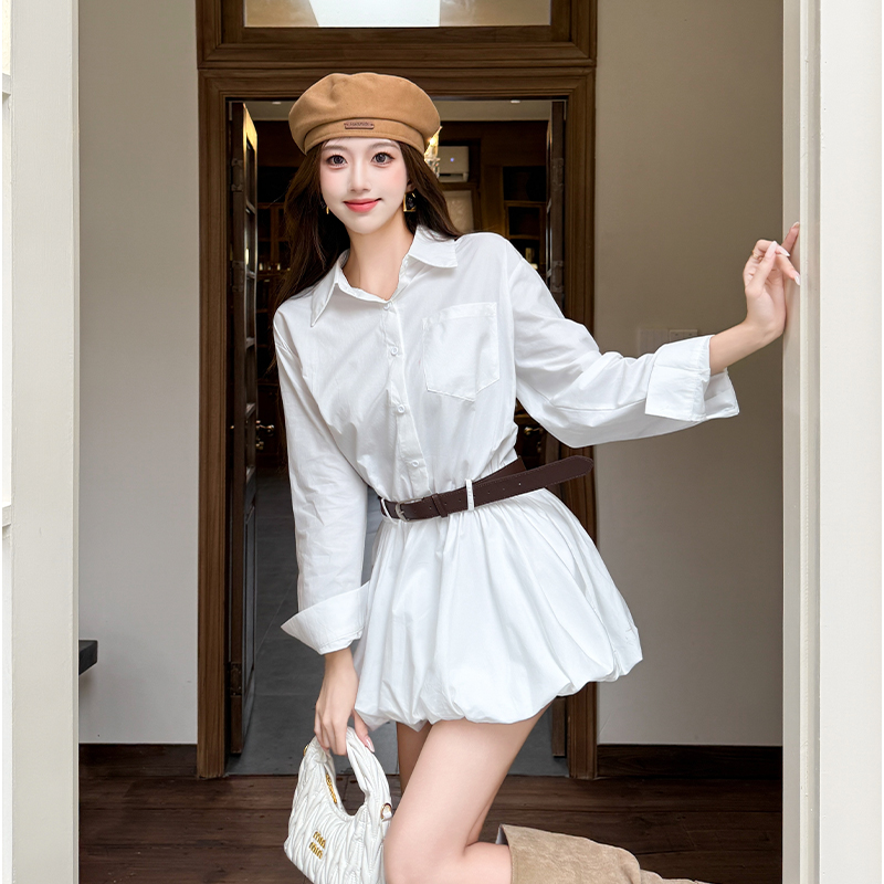 2025 Korean Style High-end Sen - Korean Style A Line Shirt Dress 评论和价格