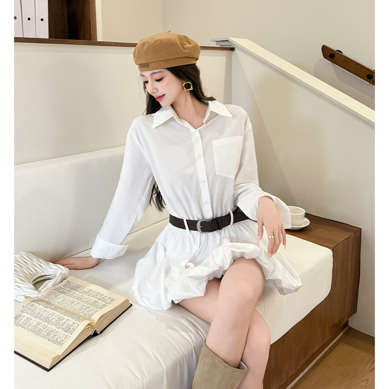 2025 Korean Style High-end Sen - Korean Style A Line Shirt Dress 评论和价格