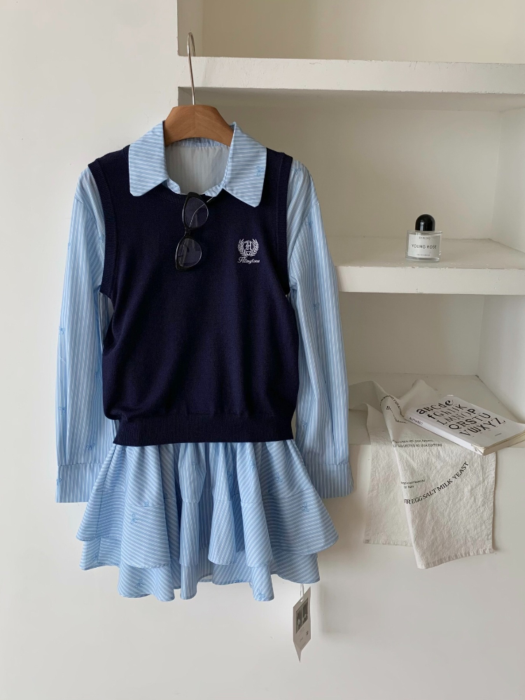 Spring Autumn Korean Fashion C - Korean Style A Line Shirt Dress 评论和价格